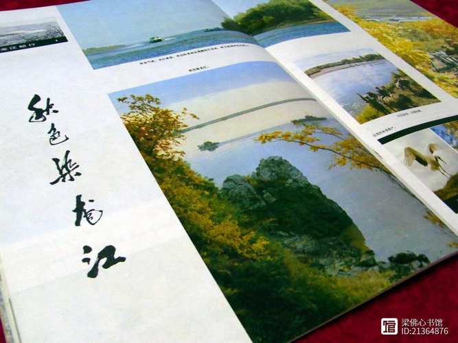 佛心收藏书报刊解放军画报一九八一年第一期总01444藏0257刊0010